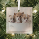 Search for pembroke welsh corgi christmas tree decorations Cute