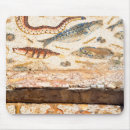 Search for archaeological mouse mats Ruin