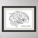 Search for brain diagram posters Doctor