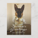Search for shepherd christmas cards Photography