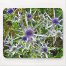 Search for wildflower mouse mats Flora