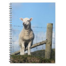 Search for cute sheep notebooks Farm animals