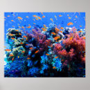 Search for ecosystem posters Underwater