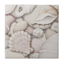 Search for scallop shell tiles Sea