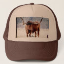 Search for longhorn hats Steer