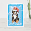Search for bernese mountain dog christmas cards Berner