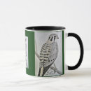 Search for american kestrel mugs Hawk