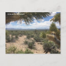 Search for mojave postcards Nevada