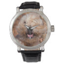 Search for alert watches Dog
