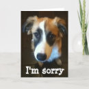Search for im sorry cards Cute
