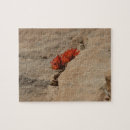 Search for indian puzzles Photography