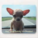 Search for dumbo mouse mats Pets