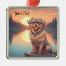 Search for rottweiler christmas tree decorations Pets