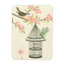 Search for caged magnets Bird