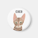 Search for cat magnets Illustration