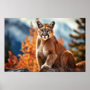 Search for puma art Nature