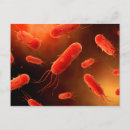 Search for bacterium postcards Biology