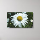 Search for raindrop canvas prints Floral