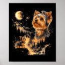 Search for yorkshire terrier posters Pets