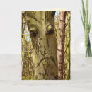 Search for tree face cards Forest