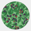 Search for blackberry fruit stickers Raspberry