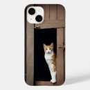 Search for tabby cases Feline