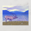 Search for elk postcards Lake