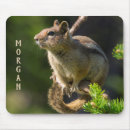 Search for ground mouse mats Squirrel