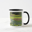 Search for lisse mugs Cindy miller hopkins