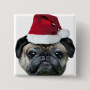 Search for pup square badges Animals