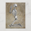 Search for skull illustration postcards Anatomy