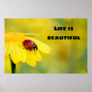 Search for bugs life art Nature