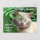 Search for beautiful quote postcards Encouragement