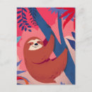 Search for sloth postcards Jungle