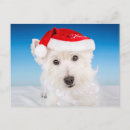 Search for westie christmas cards Holiday animals