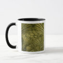 Search for vaulting mugs Interior