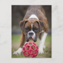 Search for edmonton alberta postcards Full length