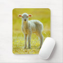 Search for young animal mouse mats Sheep