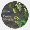 Search for yellow bookplates Botanical
