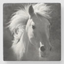 Search for portrait glass coasters Photography