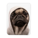Search for studio photo magnets Dog