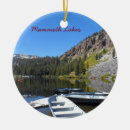 Search for nevada christmas tree decorations California