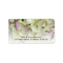 Search for pink hydrangea return address labels Botanical
