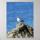 Search for seagull posters Rock