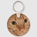 Search for closed key rings Cat