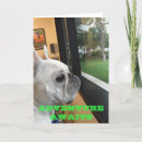Search for adventure birthday cards Unique