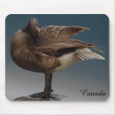 Search for canada goose electronics Geese