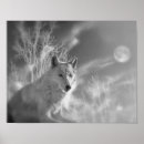 Search for white wolf posters Wolves