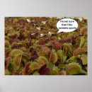 Search for traps art Carnivorous plants
