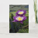 Search for adult daughter cards Photography